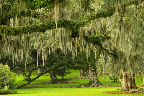 most beautiful places in louisiana